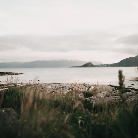 Moderne Familiehus Naer Alesund Sentrum Og Flyplass *
